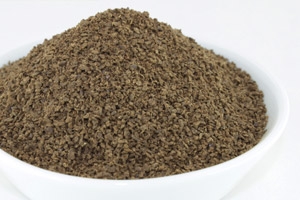 Sarsaparilla