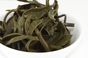 Meerfenchel