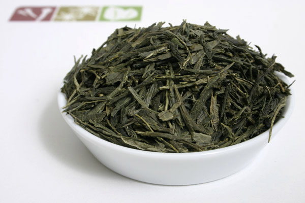 Sencha