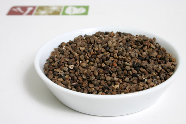 Cardamomsaat