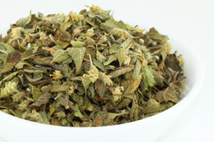 Mexikanischer Oregano
