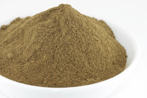 Butterpilze