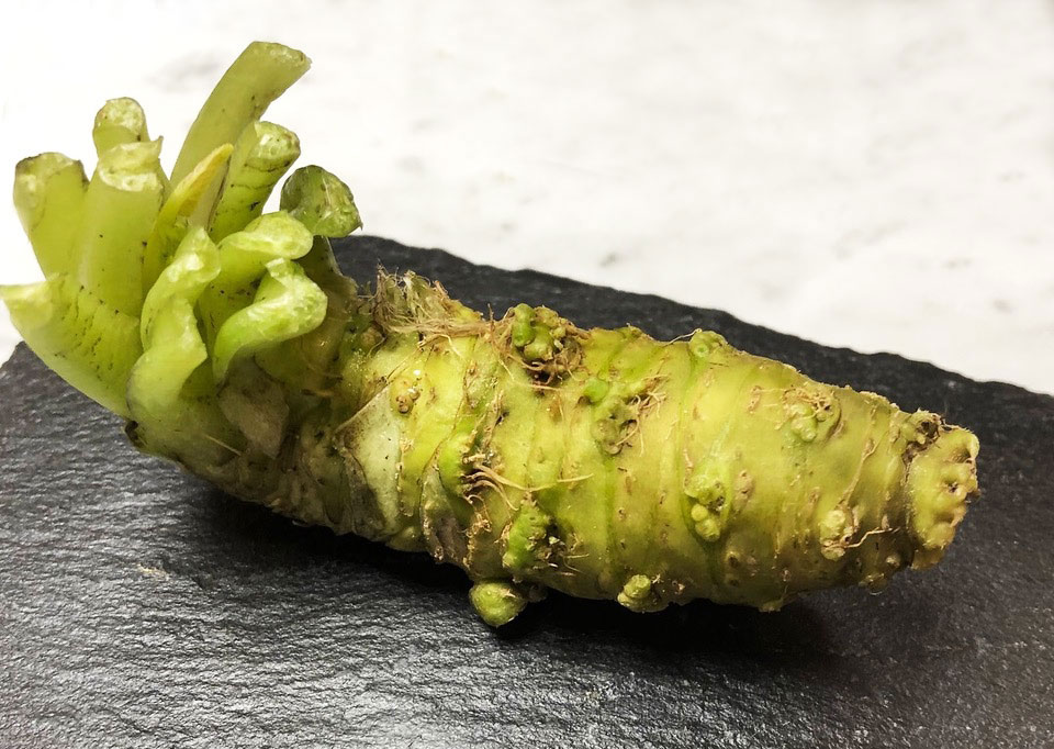 Echter Wasabi zum Reiben