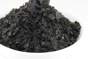 Nori Algen