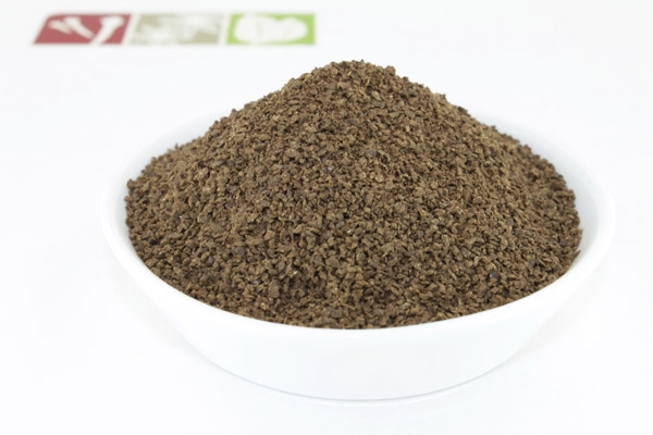 Sarsaparilla