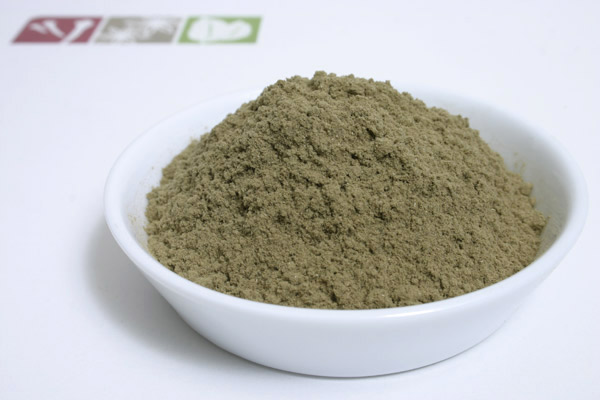 Salbei