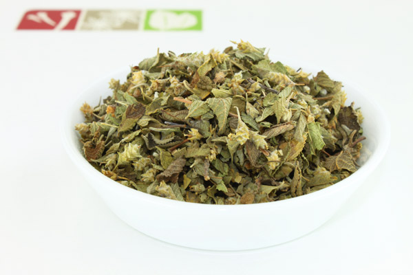Mexikanischer Oregano