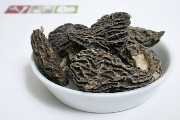 Fire Morels