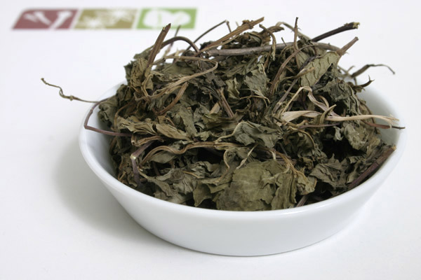Marokkanische Minze